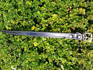 COLLAR PARA PERRO