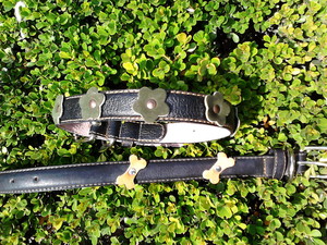 COLLAR PARA PERRO
